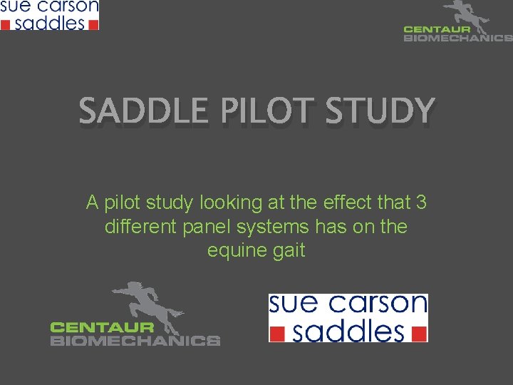 SADDLE PILOT STUDY A pilot study looking at the effect that 3 different panel