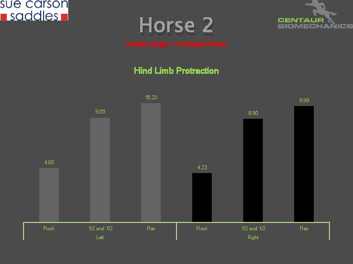 Horse 2 Greater Angle = Increased Power Hind Limb Protraction 10. 23 9. 99