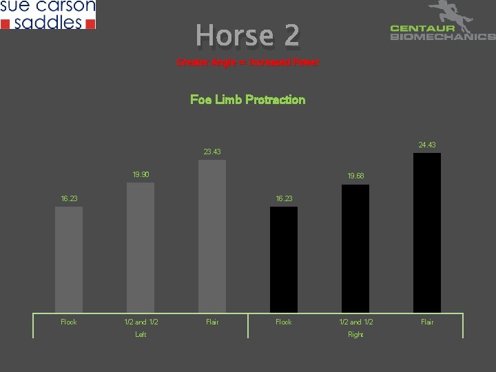 Horse 2 Greater Angle = Increased Power Foe Limb Protraction 24. 43 23. 43