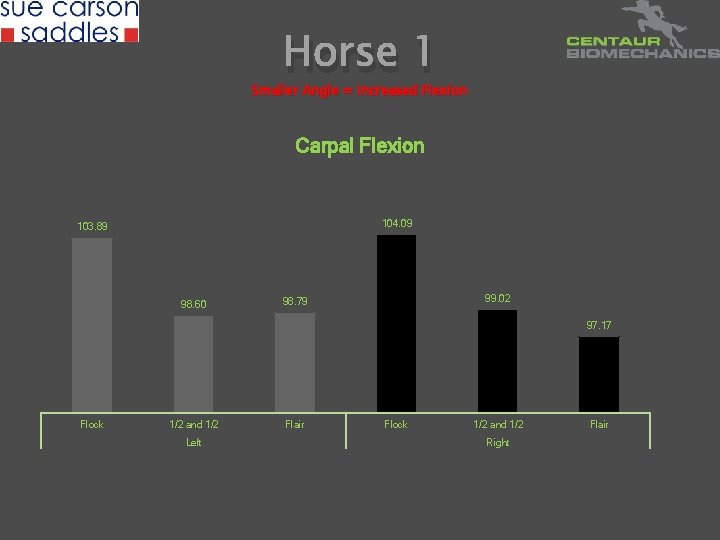 Horse 1 Smaller Angle = Increased Flexion Carpal Flexion 104. 09 103. 89 98.