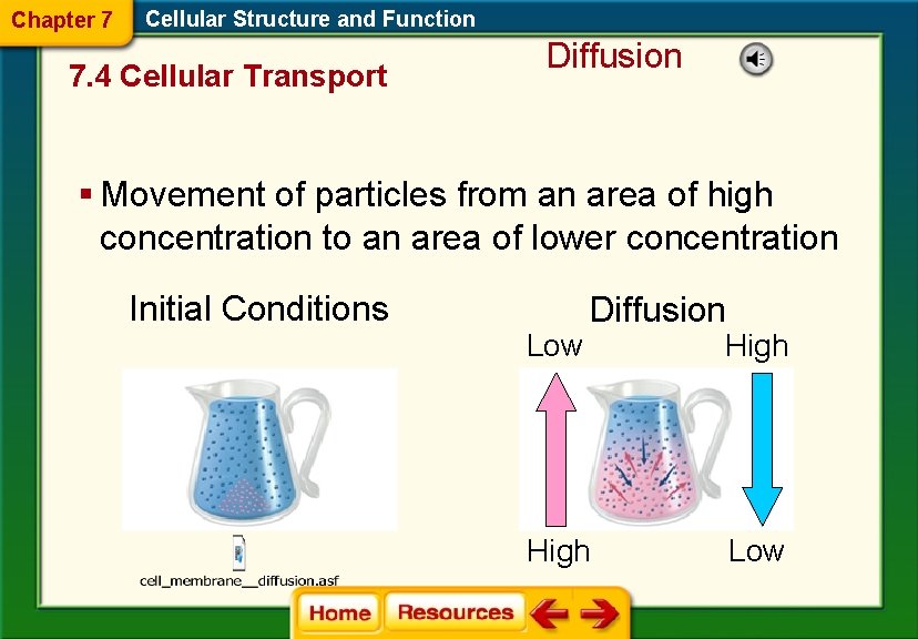 Chapter 7 Cellular Structure and Function 7. 4 Cellular Transport Diffusion § Movement of
