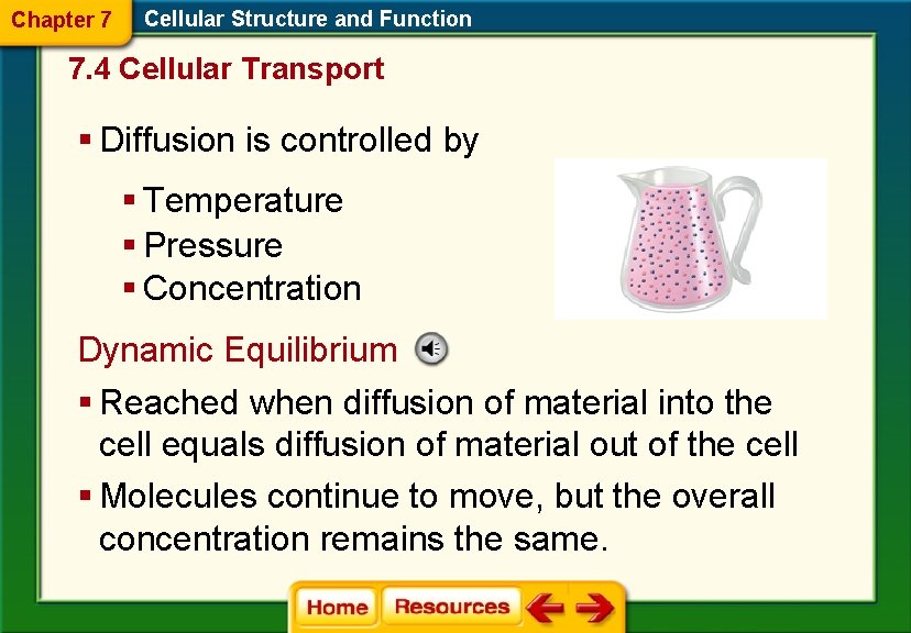 Chapter 7 Cellular Structure and Function 7. 4 Cellular Transport § Diffusion is controlled