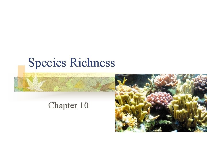 Species Richness Chapter 10 