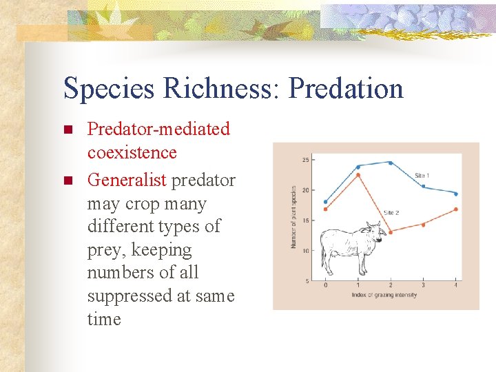 Species Richness: Predation n n Predator-mediated coexistence Generalist predator may crop many different types