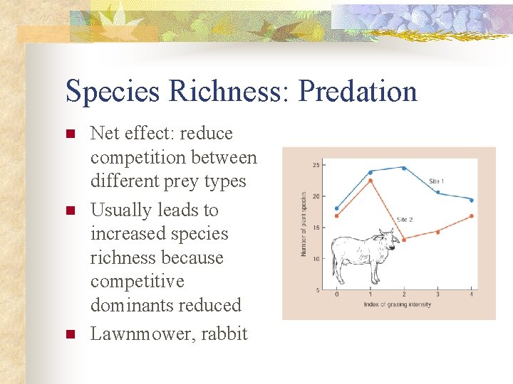 Species Richness: Predation n Net effect: reduce competition between different prey types Usually leads