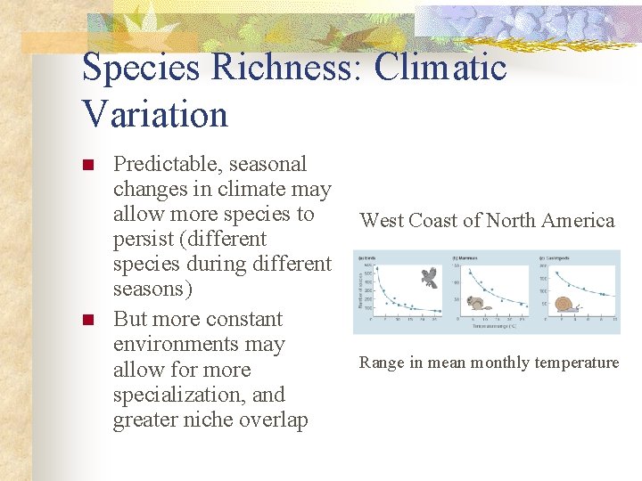 Species Richness: Climatic Variation n n Predictable, seasonal changes in climate may allow more