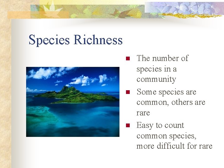 Species Richness n n n The number of species in a community Some species