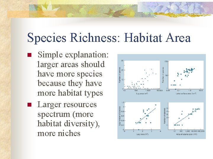 Species Richness: Habitat Area n n Simple explanation: larger areas should have more species