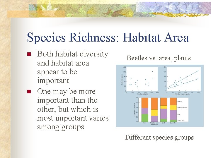 Species Richness: Habitat Area n n Both habitat diversity and habitat area appear to