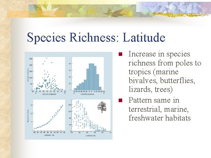 Species Richness: Latitude n n Increase in species richness from poles to tropics (marine