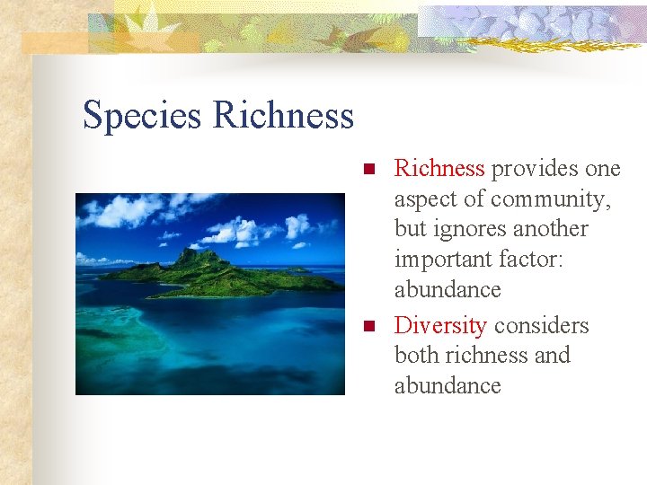 Species Richness n n Richness provides one aspect of community, but ignores another important