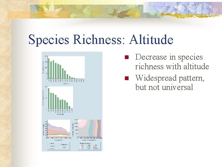 Species Richness: Altitude n n Decrease in species richness with altitude Widespread pattern, but