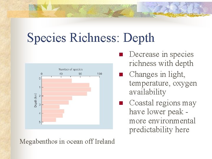 Species Richness: Depth n n n Megabenthos in ocean off Ireland Decrease in species