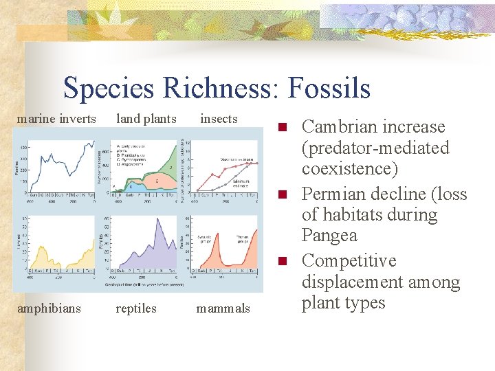 Species Richness: Fossils marine inverts land plants insects n n n amphibians reptiles mammals