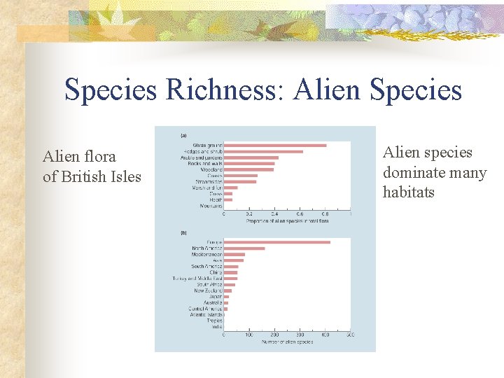 Species Richness: Alien Species Alien flora of British Isles Alien species dominate many habitats