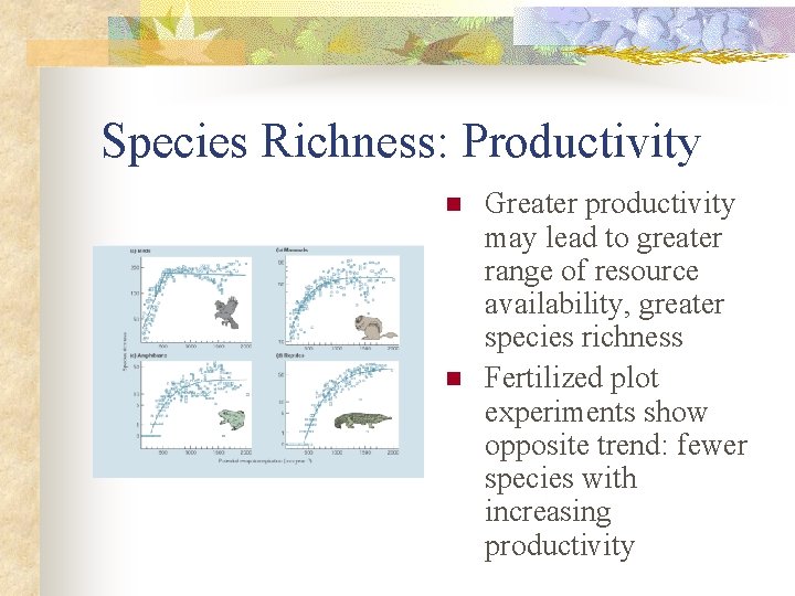Species Richness: Productivity n n Greater productivity may lead to greater range of resource