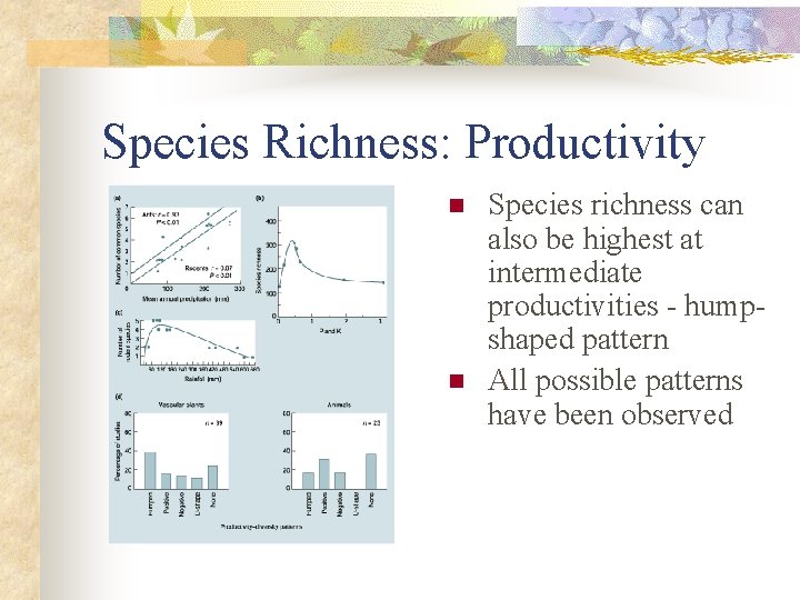 Species Richness: Productivity n n Species richness can also be highest at intermediate productivities