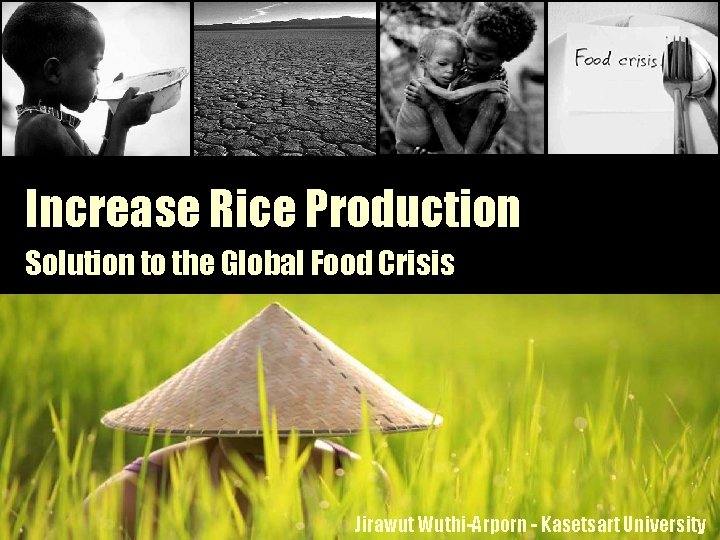 Increase Rice Production Solution to the Global Food Crisis Jirawut Wuthi-Arporn - Kasetsart University