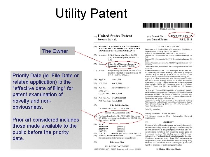 Utility Patent The Owner Priority Date (ie. File Date or related application) is the