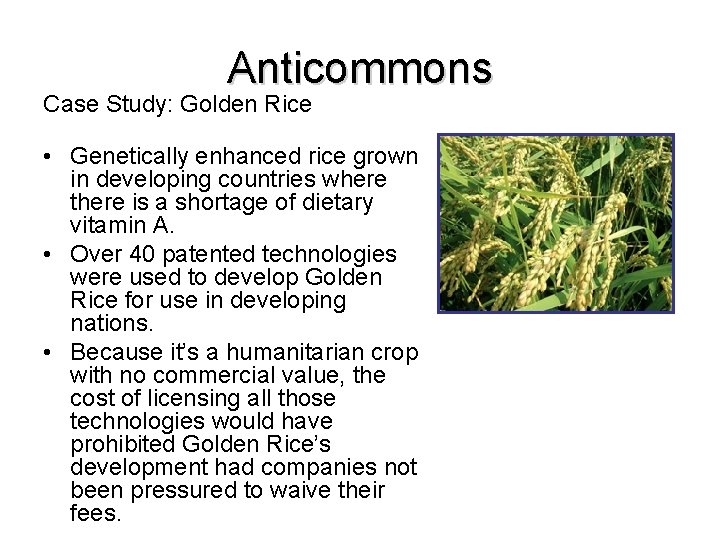 Anticommons Case Study: Golden Rice • Genetically enhanced rice grown in developing countries where