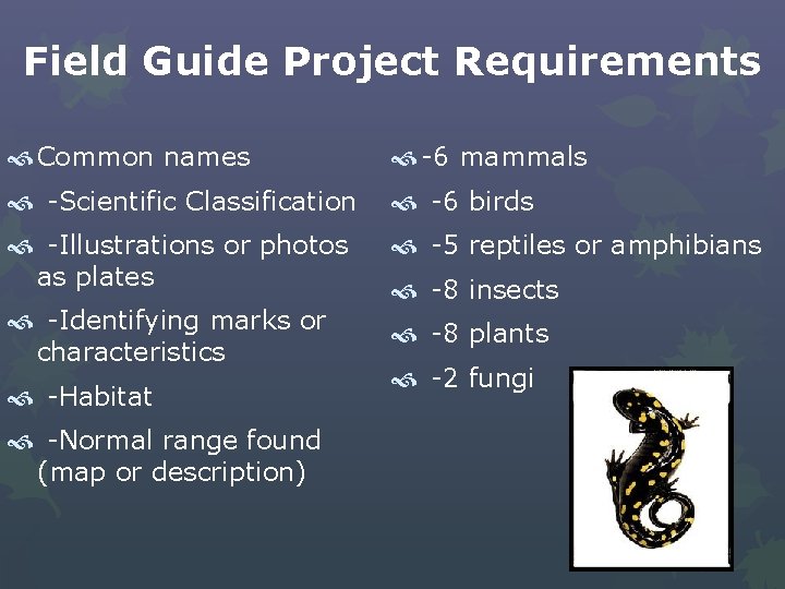 Field Guide Project Requirements Common names -6 mammals -Scientific Classification -6 birds -Illustrations or