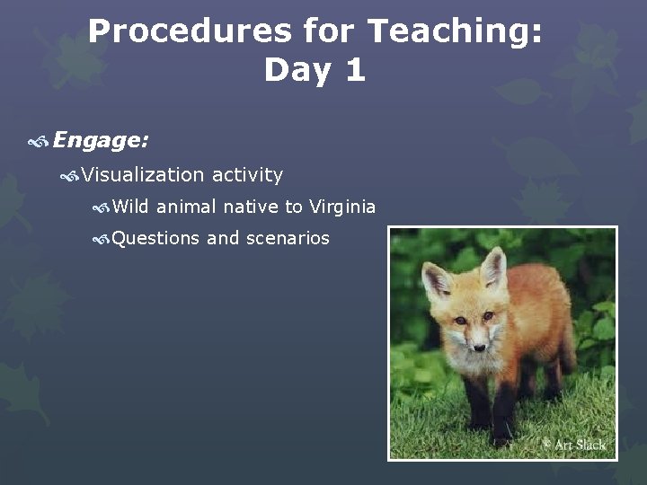 Procedures for Teaching: Day 1 Engage: Visualization activity Wild animal native to Virginia Questions