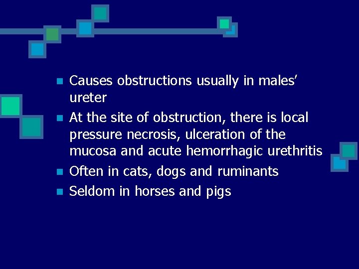 n n Causes obstructions usually in males’ ureter At the site of obstruction, there