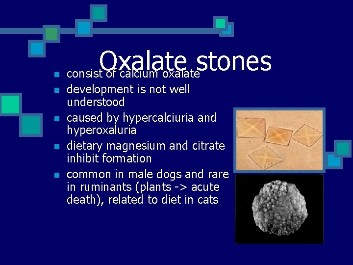 n n n Oxalate stones consist of calcium oxalate development is not well understood