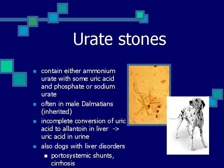 Urate stones n n contain either ammonium urate with some uric acid and phosphate