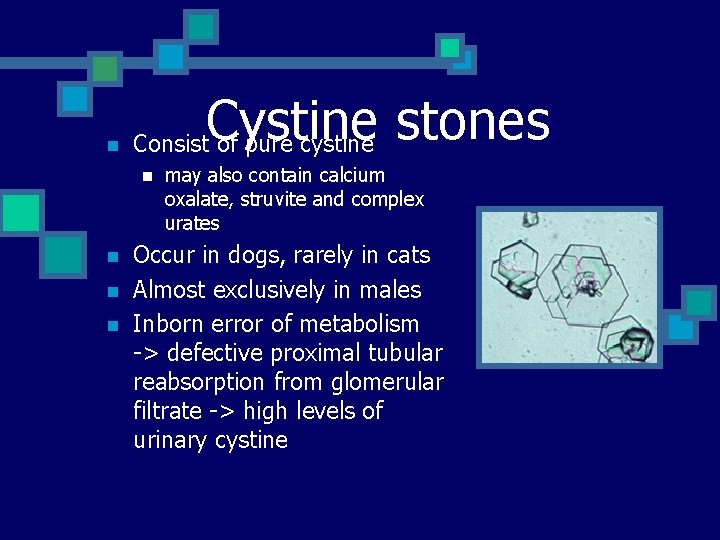 n Cystine stones Consist of pure cystine n n may also contain calcium oxalate,