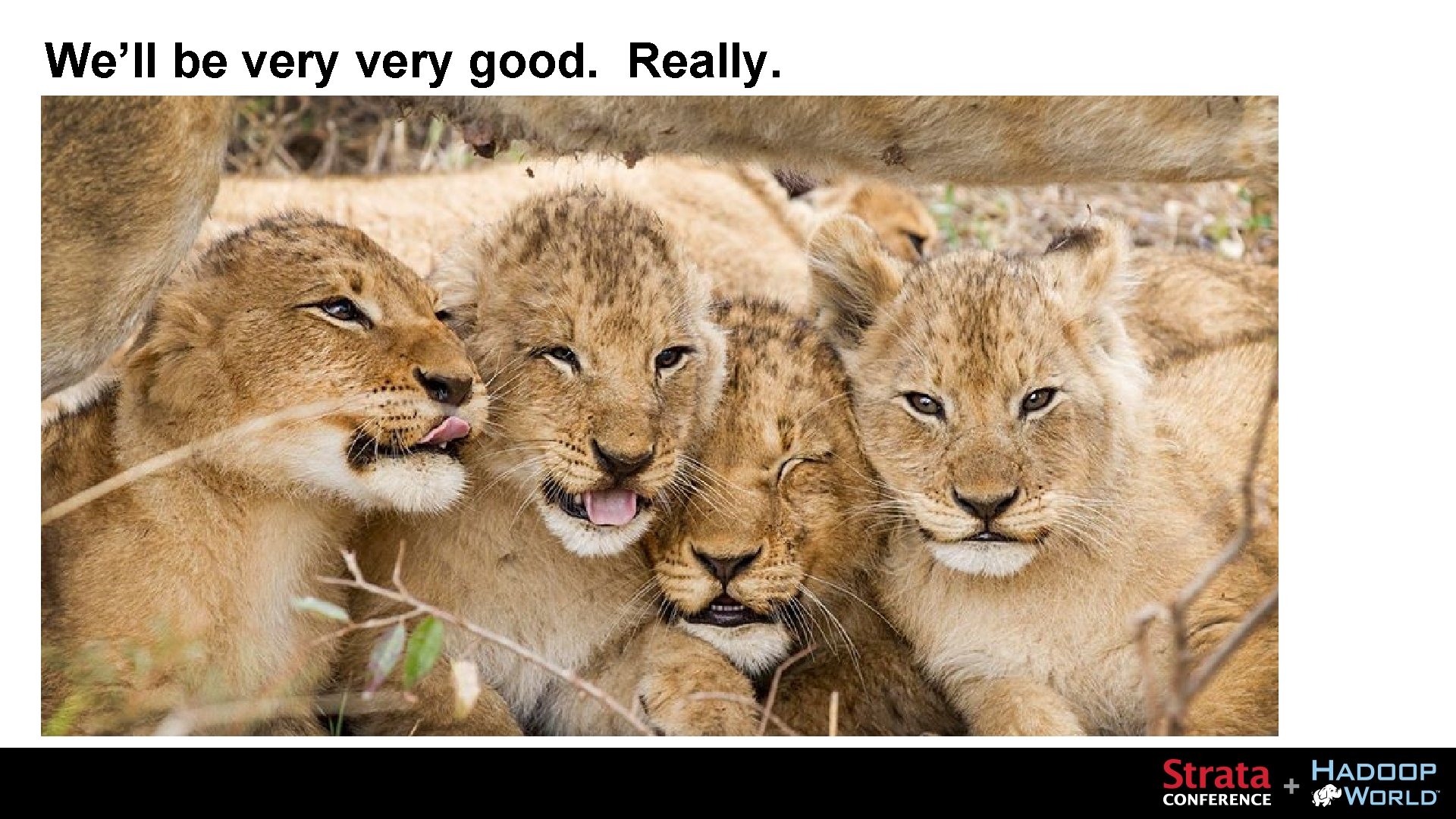 We’ll be very good. Really. 