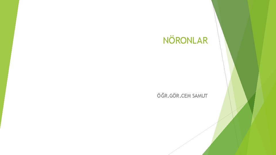 NÖRONLAR ÖĞR. GÖR. CEM SAMUT NÖRONLAR ÖĞR. GÖR. CEM SAMUT