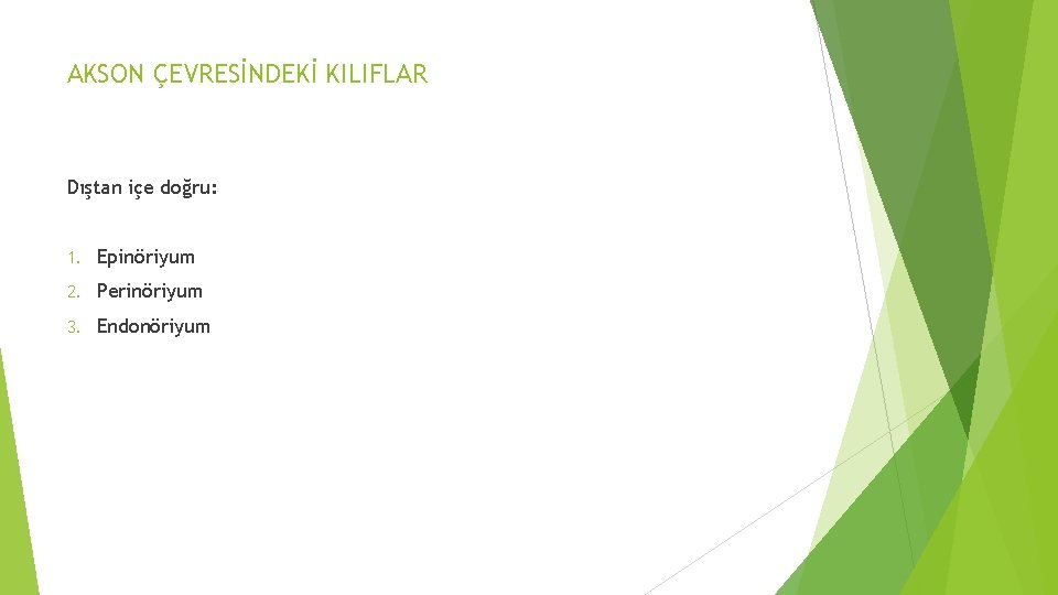 AKSON ÇEVRESİNDEKİ KILIFLAR Dıştan içe doğru: 1. Epinöriyum 2. Perinöriyum 3. Endonöriyum AKSON ÇEVRESİNDEKİ KILIFLAR Dıştan içe doğru: 1. Epinöriyum 2. Perinöriyum 3. Endonöriyum
