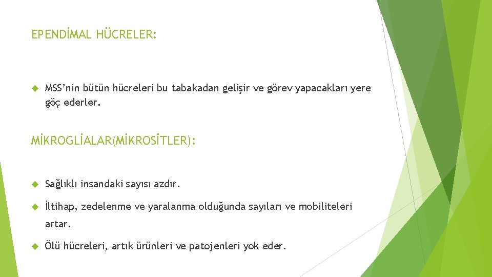 EPENDİMAL HÜCRELER: MSS’nin bütün hücreleri bu tabakadan gelişir ve görev yapacakları yere göç ederler. EPENDİMAL HÜCRELER: MSS’nin bütün hücreleri bu tabakadan gelişir ve görev yapacakları yere göç ederler.