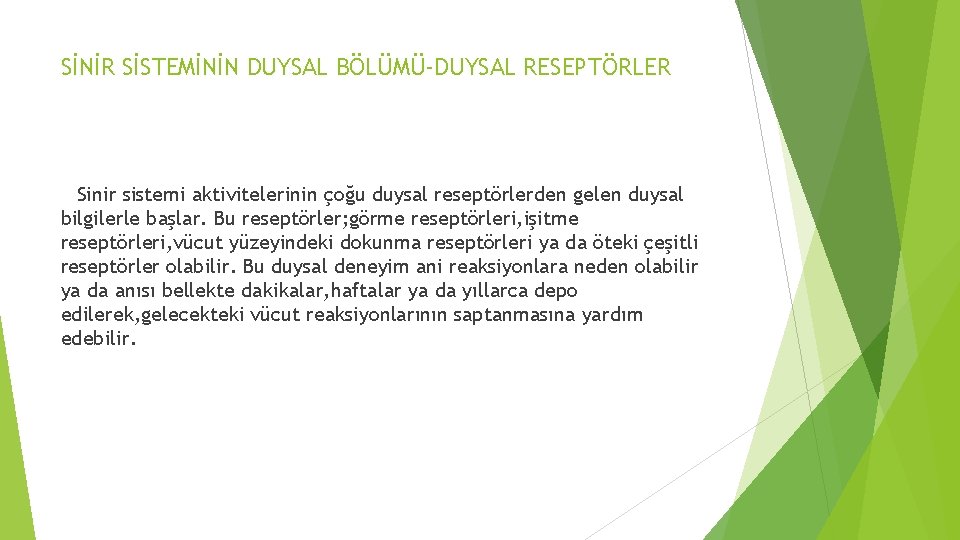 SİNİR SİSTEMİNİN DUYSAL BÖLÜMÜ-DUYSAL RESEPTÖRLER Sinir sistemi aktivitelerinin çoğu duysal reseptörlerden gelen duysal bilgilerle SİNİR SİSTEMİNİN DUYSAL BÖLÜMÜ-DUYSAL RESEPTÖRLER Sinir sistemi aktivitelerinin çoğu duysal reseptörlerden gelen duysal bilgilerle