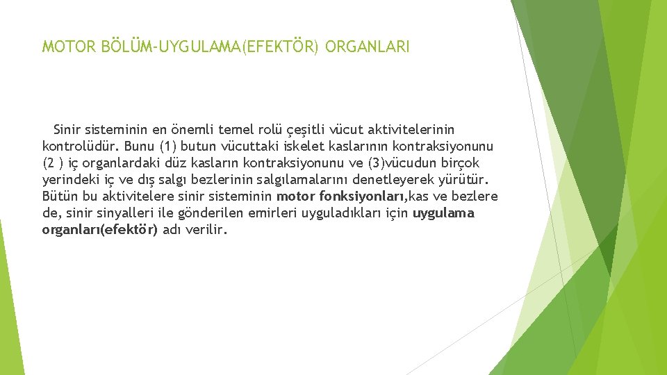 MOTOR BÖLÜM-UYGULAMA(EFEKTÖR) ORGANLARI Sinir sisteminin en önemli temel rolü çeşitli vücut aktivitelerinin kontrolüdür. Bunu MOTOR BÖLÜM-UYGULAMA(EFEKTÖR) ORGANLARI Sinir sisteminin en önemli temel rolü çeşitli vücut aktivitelerinin kontrolüdür. Bunu