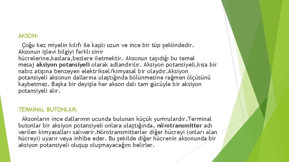 AKSON: Çoğu kez miyelin kılıfı ile kaplı uzun ve ince bir tüp şeklindedir. Aksonun AKSON: Çoğu kez miyelin kılıfı ile kaplı uzun ve ince bir tüp şeklindedir. Aksonun