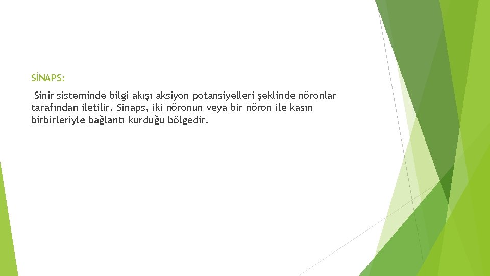 SİNAPS: Sinir sisteminde bilgi akışı aksiyon potansiyelleri şeklinde nöronlar tarafından iletilir. Sinaps, iki nöronun SİNAPS: Sinir sisteminde bilgi akışı aksiyon potansiyelleri şeklinde nöronlar tarafından iletilir. Sinaps, iki nöronun