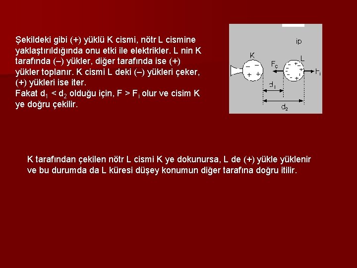 Şekildeki gibi (+) yüklü K cismi, nötr L cismine yaklaştırıldığında onu etki ile elektrikler.