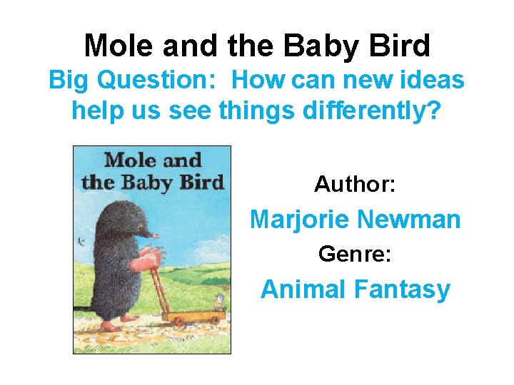 Mole and the Baby Bird Big Question: How can new ideas help us see