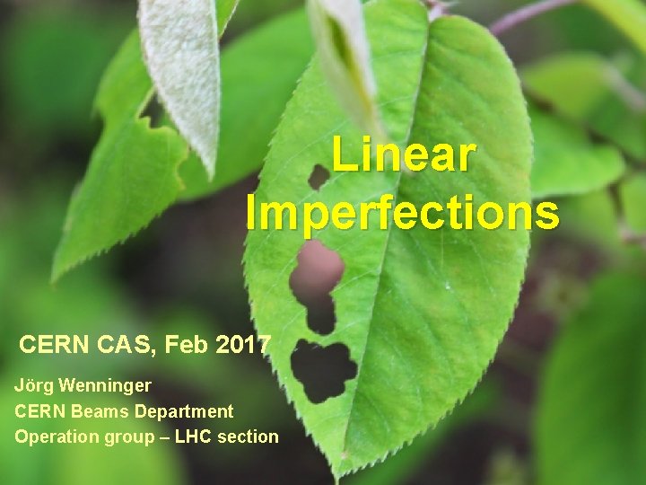 Linear Imperfections CERN CAS, Feb 2017 Jörg Wenninger CERN Beams Department Operation group –