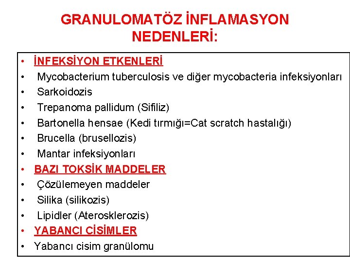 GRANULOMATÖZ İNFLAMASYON NEDENLERİ: • • • • İNFEKSİYON ETKENLERİ Mycobacterium tuberculosis ve diğer mycobacteria