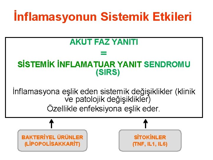 İnflamasyonun Sistemik Etkileri AKUT FAZ YANITI = SİSTEMİK İNFLAMATUAR YANIT SENDROMU (SIRS) İnflamasyona eşlik