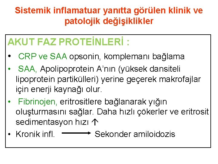 Sistemik inflamatuar yanıtta görülen klinik ve patolojik değişiklikler AKUT FAZ PROTEİNLERİ : • CRP