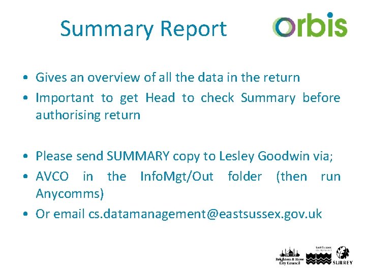 Summary Report • Gives an overview of all the data in the return •