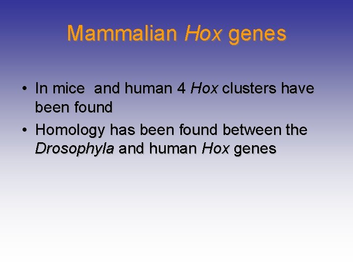 Mammalian Hox genes • In mice and human 4 Hox clusters have been found