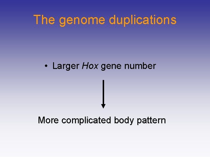The genome duplications • Larger Hox gene number More complicated body pattern 