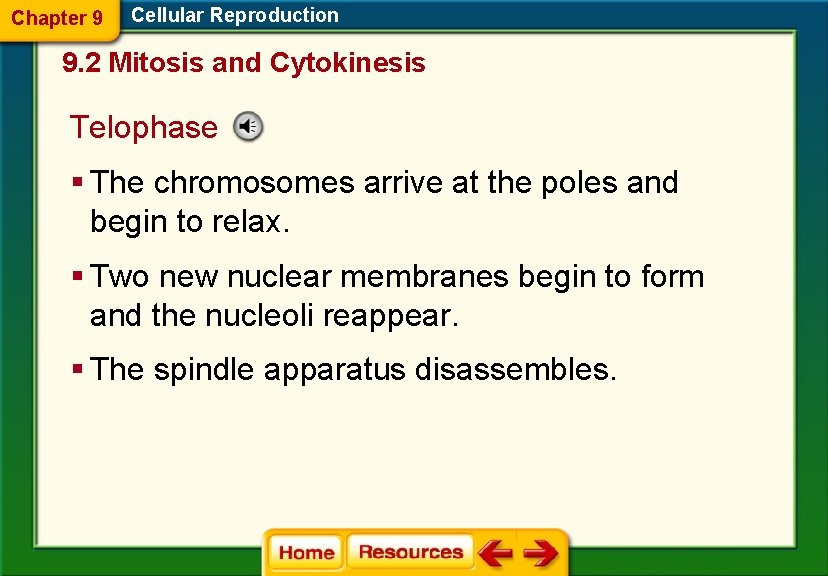 Chapter 9 Cellular Reproduction 9. 2 Mitosis and Cytokinesis Telophase § The chromosomes arrive