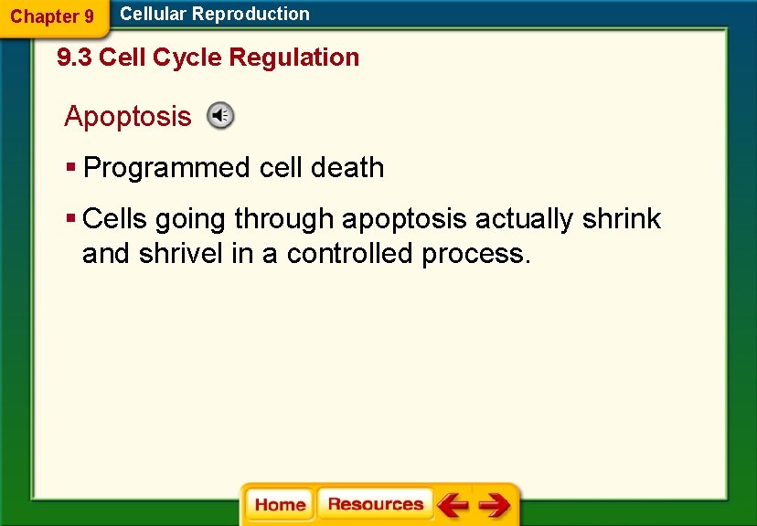 Chapter 9 Cellular Reproduction 9. 3 Cell Cycle Regulation Apoptosis § Programmed cell death