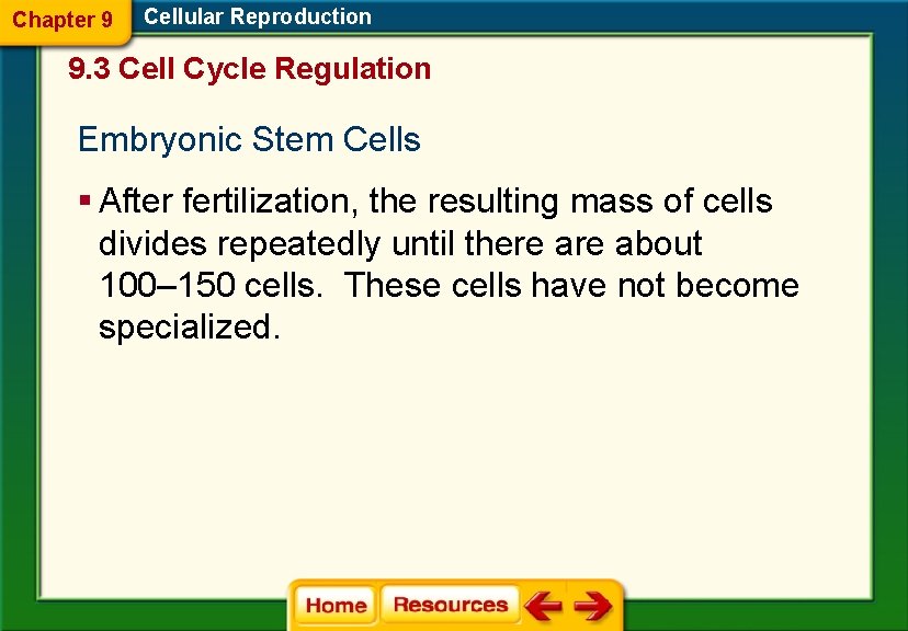 Chapter 9 Cellular Reproduction 9. 3 Cell Cycle Regulation Embryonic Stem Cells § After